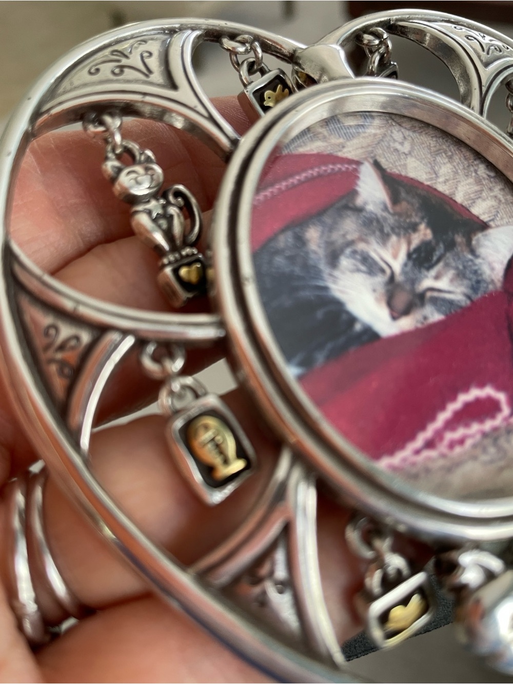 Brighton Cat Frame - Picture 6 of 7